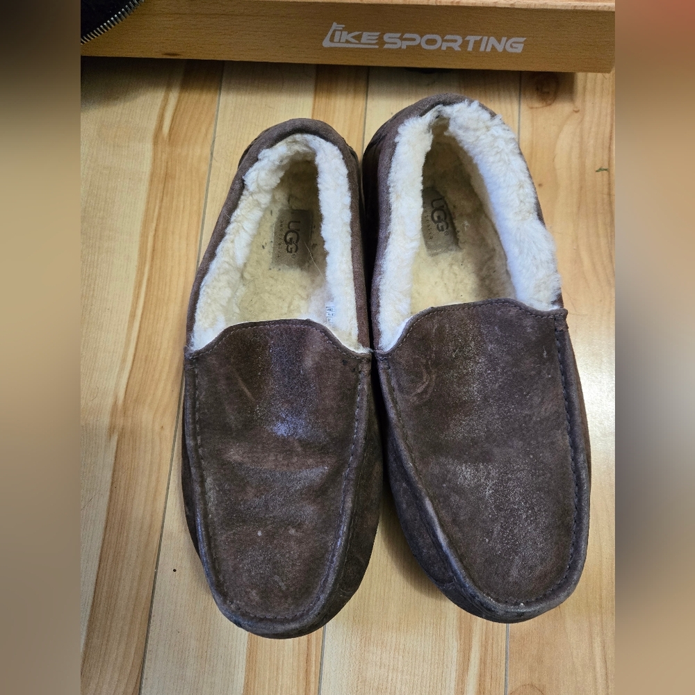 Mens UGG Shoes